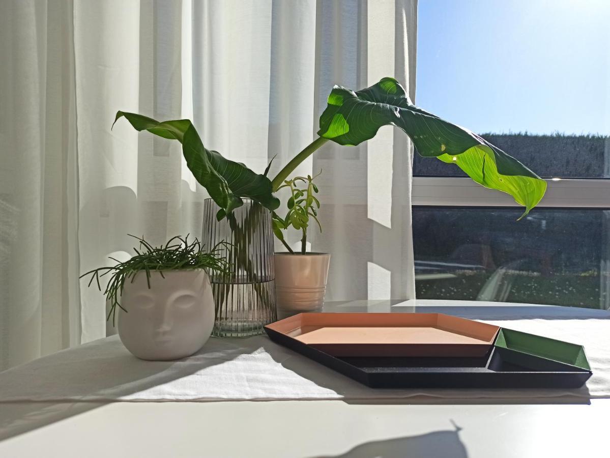 サンタンデールBajo Con Jardin Privadoアパートメント エクステリア 写真