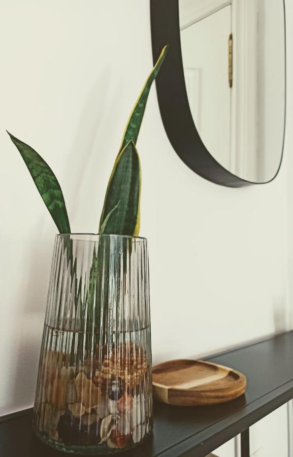 サンタンデールBajo Con Jardin Privadoアパートメント エクステリア 写真