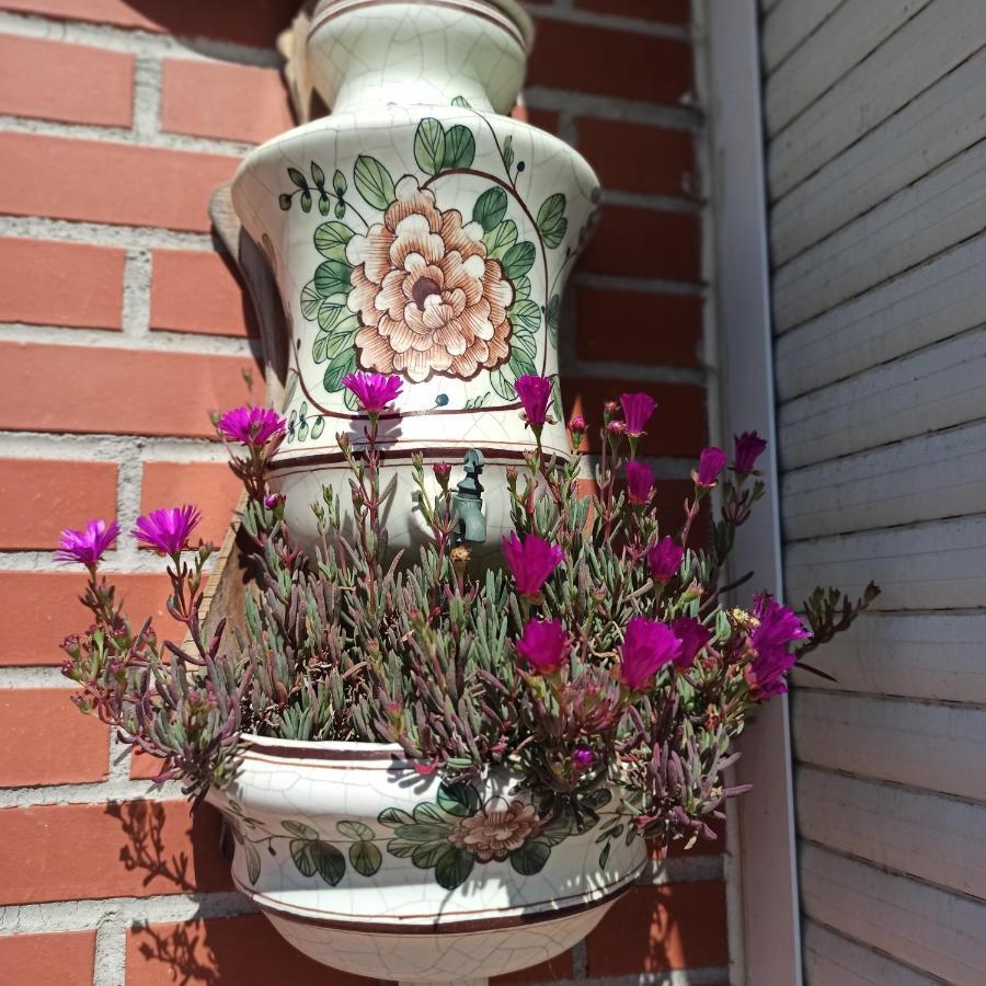 サンタンデールBajo Con Jardin Privadoアパートメント エクステリア 写真